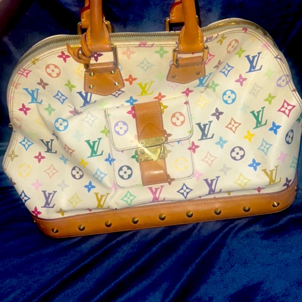 Louis Vuitton purse multi color